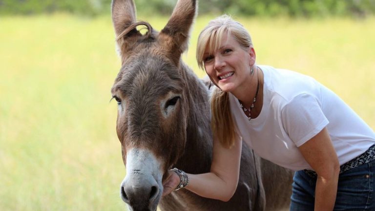 Rachel Anne Ridge talks donkeys and neighboring on Mom Struggling Well