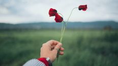 5 Ways to Respectfully Observe Remembrance Day